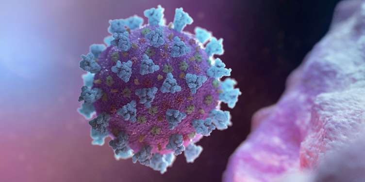 Covid-19 Enfeksiyonu ile Etkin Mücadele için Bağışıklık Sisteminizi Güçlendirin